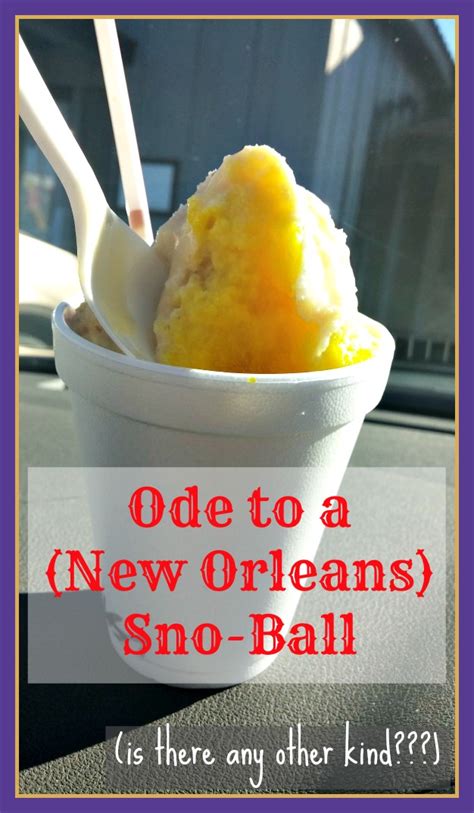 Ode to a New Orleans Sno-Ball - Nest Full of New