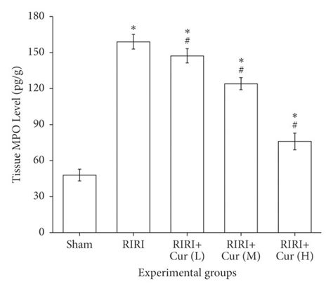 Effect of curcumin pretreatment on expression of TNF α IFN γ IL 6