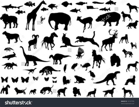 Big Collection Of Animals Silhouettes; Vector - 14137795 : Shutterstock