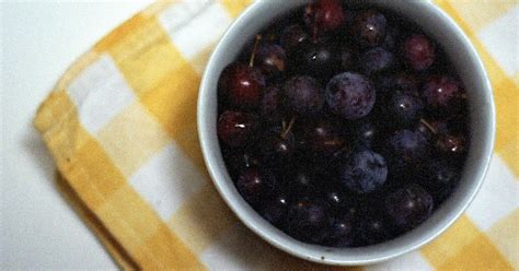 Diary of a Locavore: The Local Food Report: Beach plum jelly—and jam