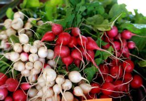 Health Benefits Of Eating Radishes