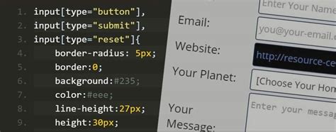 22 Tipos De Input Html Que Todo Desenvolvedor Deve Conhecer