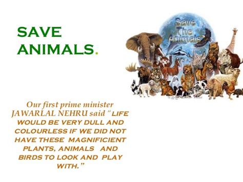 Save animals