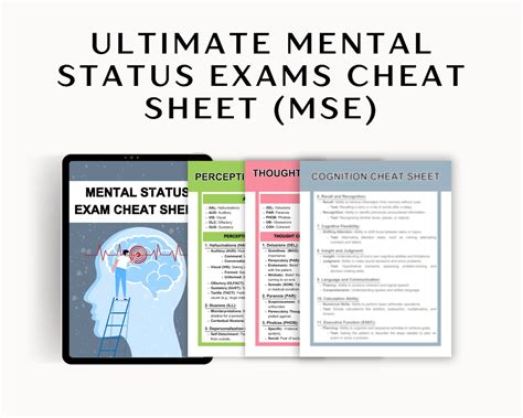 Mental Status Exam Cheat Sheet Mse Reference Sheet Mse Writing Guide Mse Checklist Therapy