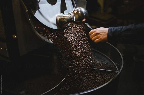 Coffee Roasting Machines Market Worth US 2 1 Billion By 2031