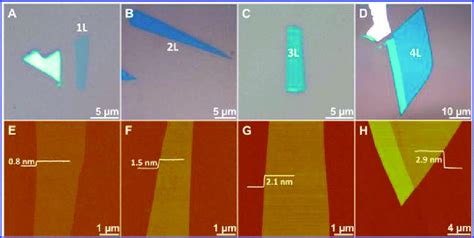 Mechanically Exfoliated Single And Few Layer MoS 2 Nanosheets On 300 Nm