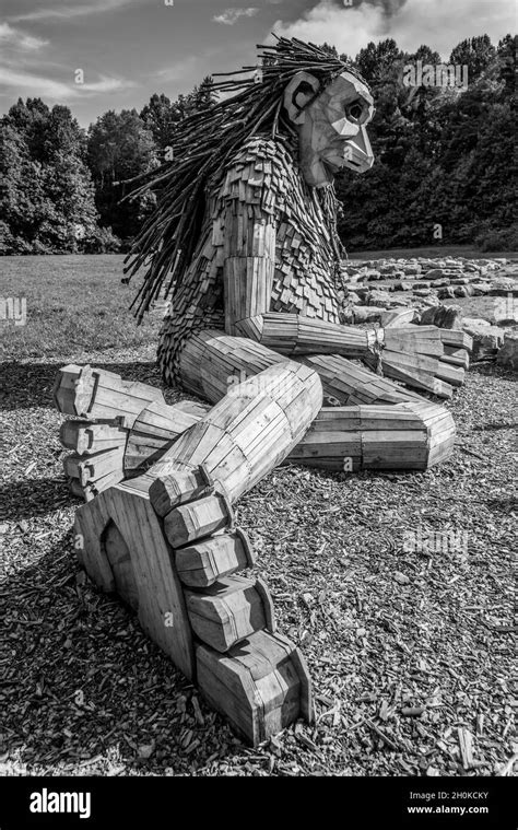 Forest Giants In A Giant Forest Bernheim Forest Clermont Kentucky