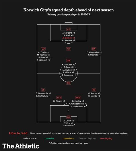 Norwich City Squad Audit Who Stays And Who Goes This Summer The