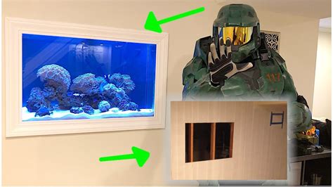 My In Wall Aquarium Start To Finish Diy Youtube