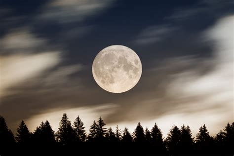 Sturgeon Moon Spiritual Meaning, According to an Astrologer | PS Astrology