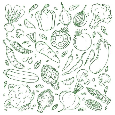 Premium Vector Hand Drawn Doodle Vegetable Collection