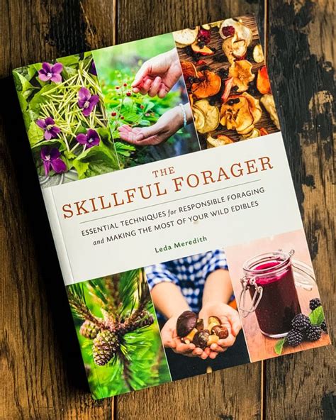 12 Best Books on Foraging and Wildcrafting | Books, Good books, Plant book