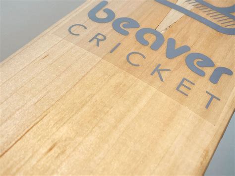 Beaver Cricket