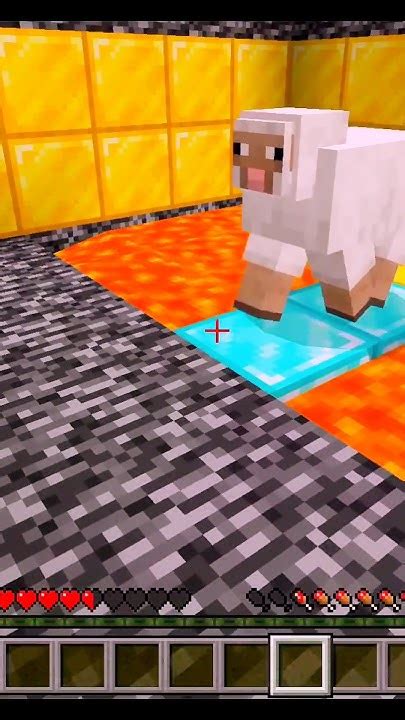 Saved Sheep From Lava 🥵minecraft Emotional Technogamerz Youtube