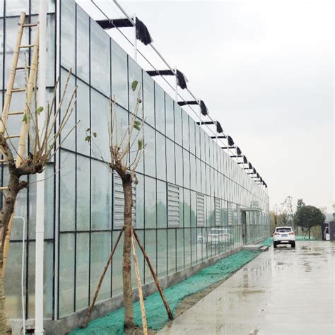 Agricultural Multi Span Hydroponic Fiber Glass Greenhouse For