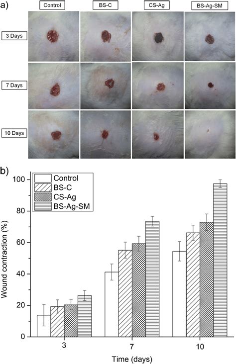 A Representative Images Of The Wistar Rats Skin Wounds After The