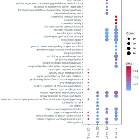 Significantly Enriched Kegg Pathways Revealed By The Kegg Pathway S