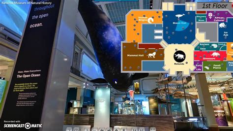 Virtual Tour Of Smithsonian National Museum Of Natural History Youtube