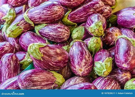 A Pile Of Purple And White Striped Eggplants Stock Image Image Of