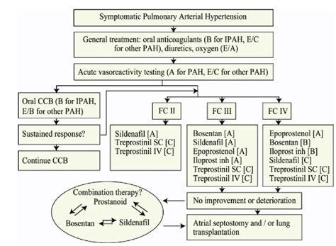 Treatment Algorithm For PAH Adapted From 2007 ACCP Guidelines