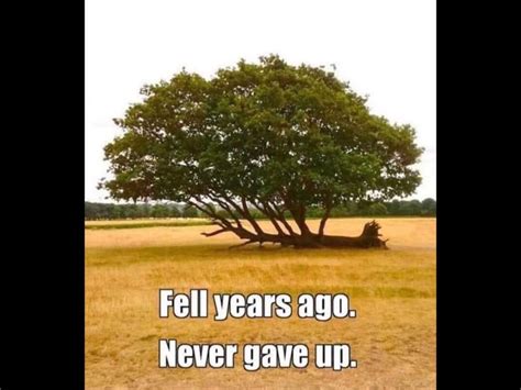 finance motors home facebook