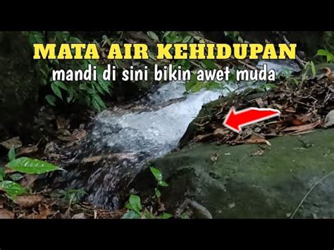 MATA AIR KEHIDUPAN PENINGGALAN LELUHUR YANG MANDI BIKIN AWET MUDA YouTube