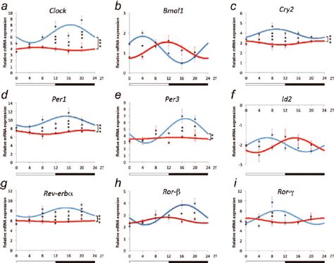 Modulation Of Circadian Patterns Of Clock Genes Expression In The