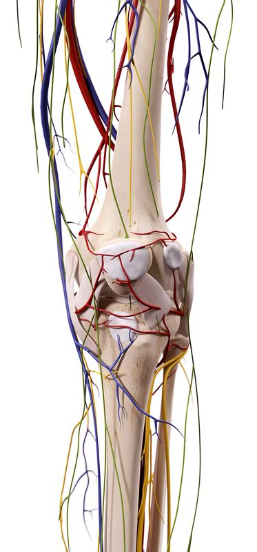 Nerve Block For Knee Arthroscopy