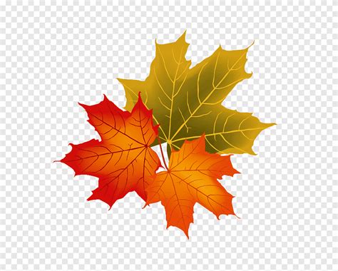 Herfstbladeren Herfst Herfst Clipart Png Pngegg