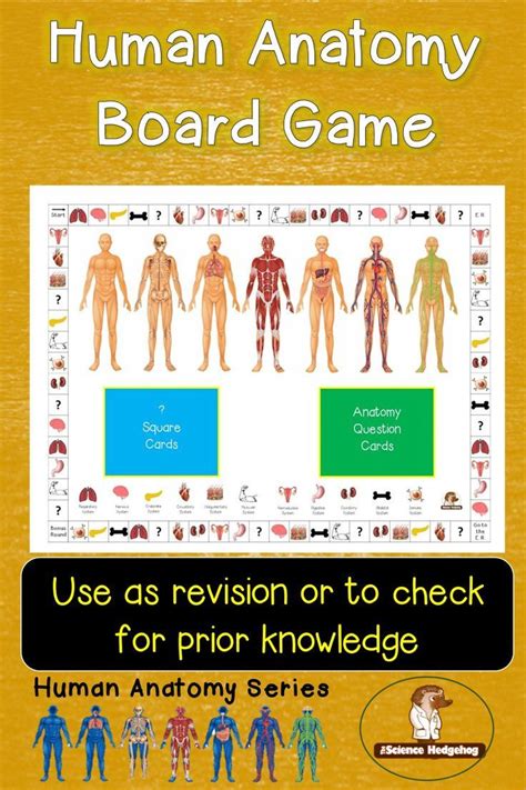 Anatomy Board Game Anatomy Flashcards High School Science High