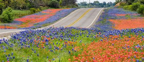 Five Scenic Texas Hill Country Drive Treetop River Cabins