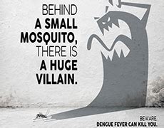 Dengue Projects Photos Videos Logos Illustrations And Branding On