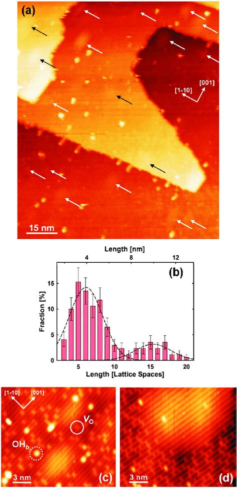 A Large Scale Stm Image Of Clean Reduced Tio 2 110 Surface Showing A