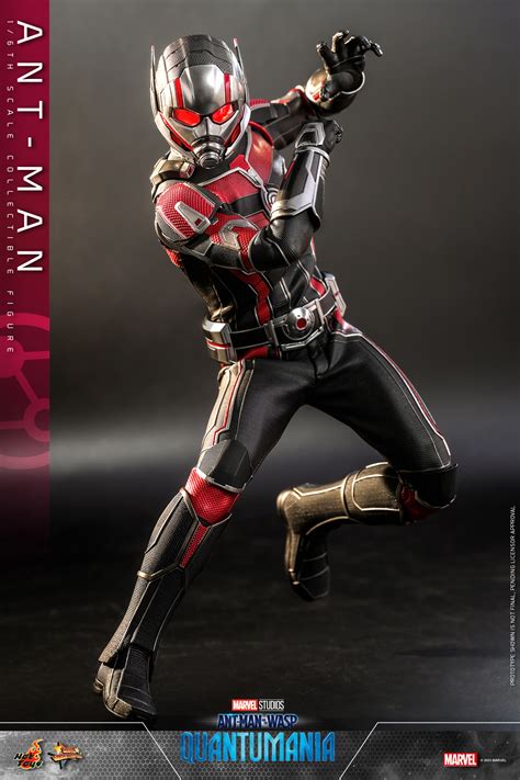 Hot Toys Ant Man Toys Zone D Figures Price List Reviews
