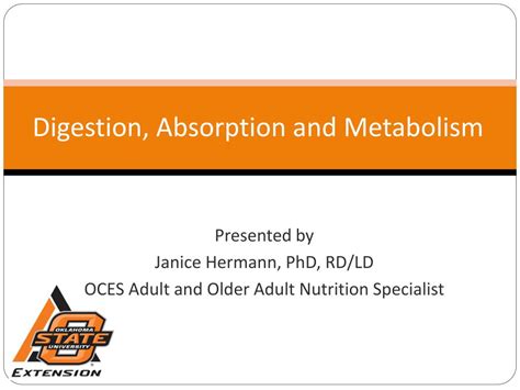 PPT Digestion Absorption And Metabolism PowerPoint Presentation