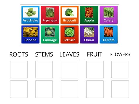 What Part Of The Plant Do We Eat Group Sort
