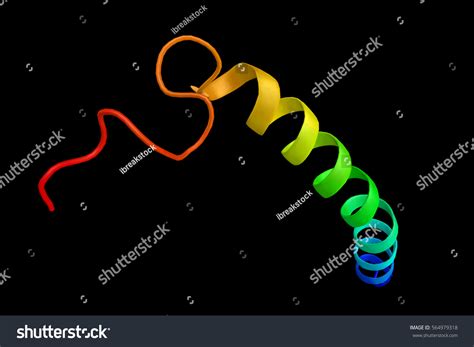 Gastric Inhibitory Polypeptide Gip Which Induces Stock Illustration ...