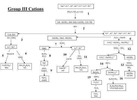 Ch Lab Qualitative Analysis Homepage Group I Cations