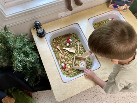 Orchard Kids Preschool