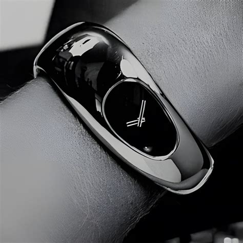 ROAMER
