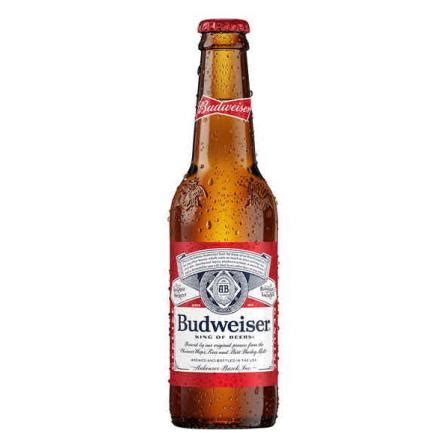 Budweiser beer 1 carton Price - NaijahFresh