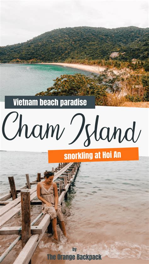 Visit the Cham Islands: diving and snorkeling in Vietnam - The Orange ...