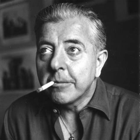 Le Chat Et Loiseau Por Jacques Prévert Poemas Ensayos Y Cuentos En