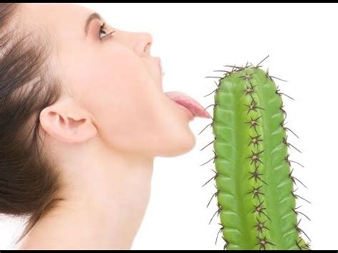 Sex Tips How To Make Your Partner To Love Oral Sex YouTube