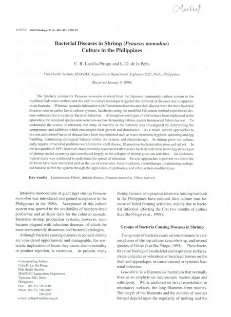 (PDF) Bacterial Diseases in Shrimp (Penaeus monodon) Culture in the Philippines.