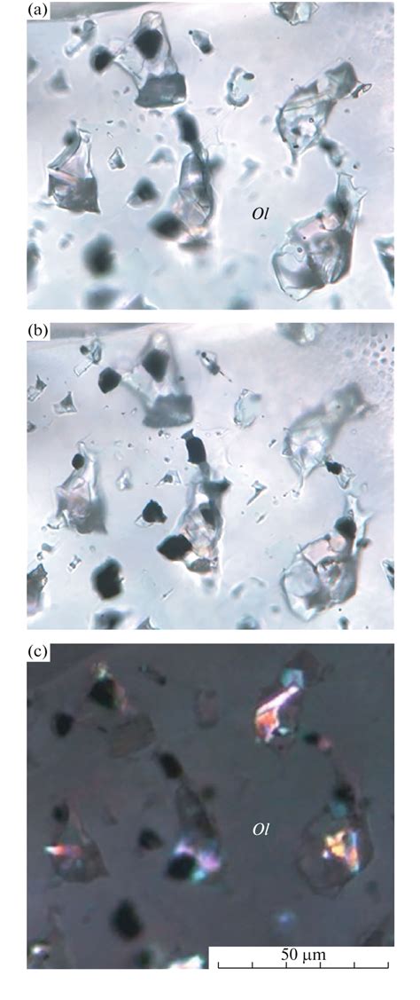 Shapes Of Melt Inclusions Hosted In An Olivine Xenocryst From The