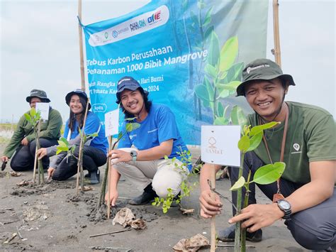 Hapus Jejak Emisi Karbon Di Bumi Mangrove Tag Lakukan Pendampingan