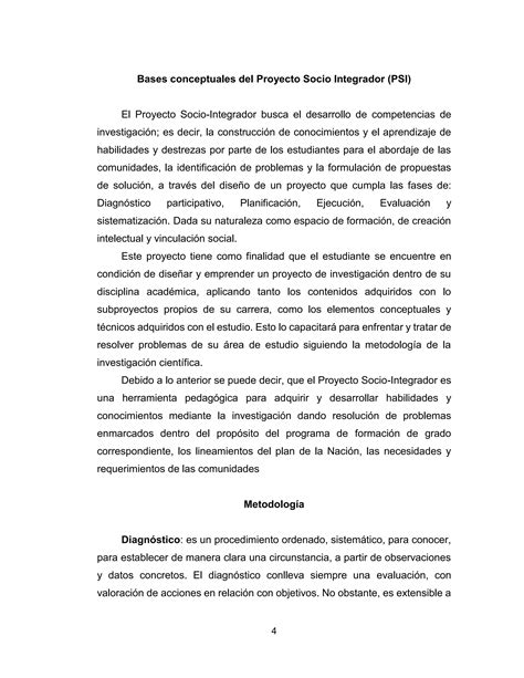 Bases Conceptuales Del Proyecto Socio Integrador Pdf