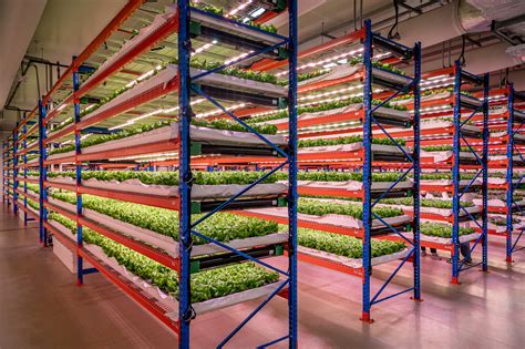 Press Release Emirates Acquires Worlds Largest Indoor Vertical Farm Runway Girlrunway Girl