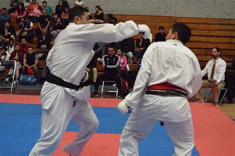 Kumite Karate Piala Kompetisi Foto Gratis Di Pixabay Pixabay